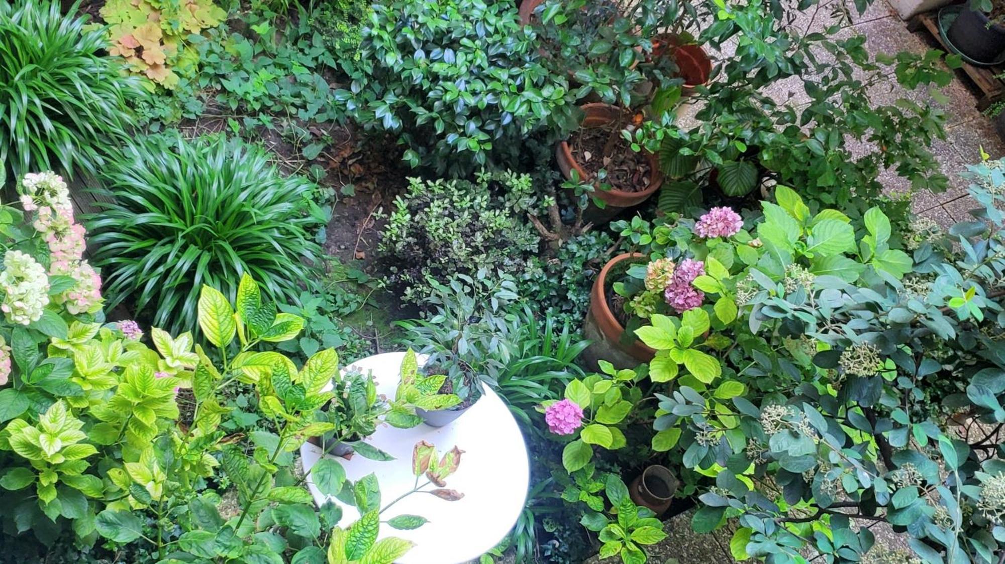 A 20eme Avec Un Petit Jardin Couette-café